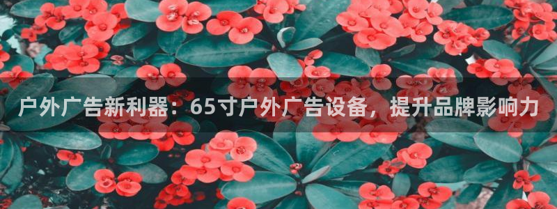 杏宇代理注册