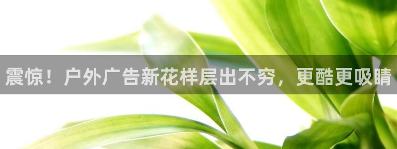 杏宇平台代理多少钱