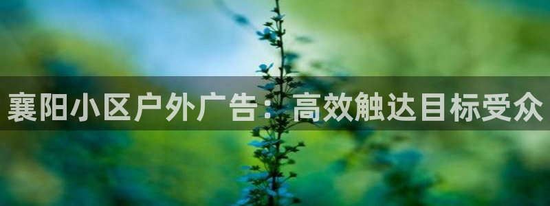 杏宇平台代理怎么赚钱的
