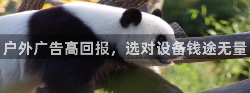 杏宇平台登录步骤