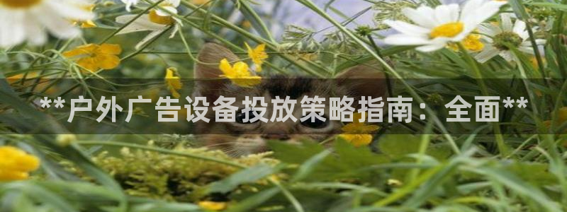 杏宇平台客服：**户外广告设备投放策略指南：全面**