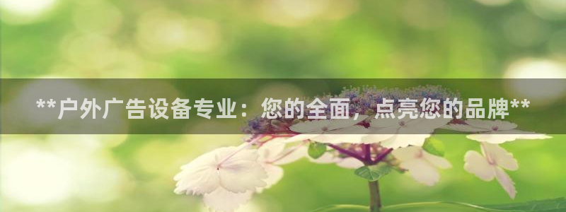 杏宇平台提现为什么这么久呢：**户外广告设备专业：您的全面，点亮您的品牌**