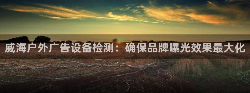 杏宇平台代理怎么样啊：威海户外广告设备检测：确保品牌曝光效果最大化