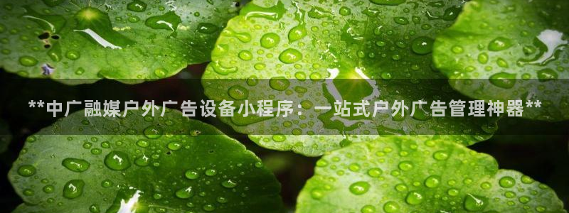 杏宇平台代理怎么赚钱快：**中广融媒户外广告设备小程序：一站式户外广告管理神器**