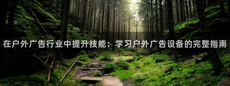 杏宇平台代理多少钱一个月：在户外广告行业中提升技能：学习户外广告设备的完整指南