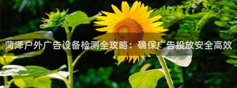 杏宇平台总代理：菏泽户外广告设备检测全攻略：确保广告投放安全高效