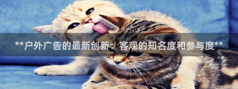杏宇平台注册登录：**户外广告的最新创新：客观的知名度和参与度**