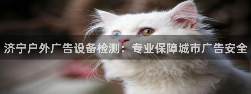 杏宇平台总代理电话：济宁户外广告设备检测：专业保障城市广告安全