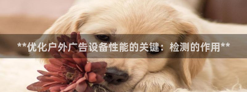 杏宇平台登录步骤图：**优化户外广告设备性能的关键：检测的作用**