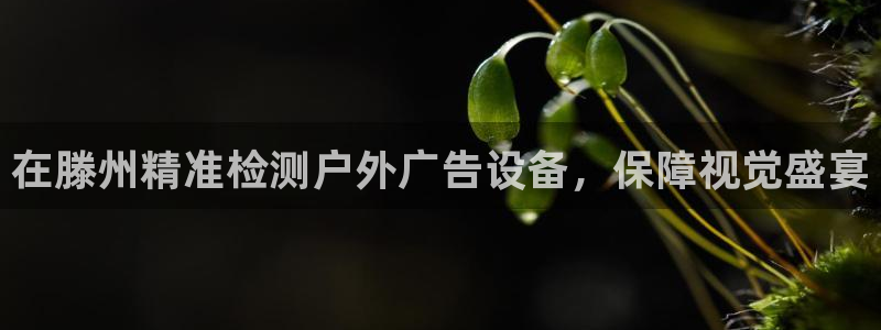 杏宇平台怎么样：在滕州精准检测户外广告设备，保障视觉盛宴