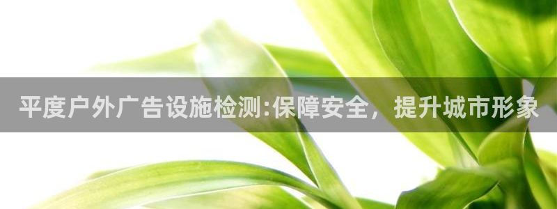 杏宇平台代理怎么样可靠吗