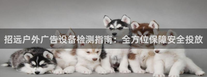 杏宇平台代理怎么样