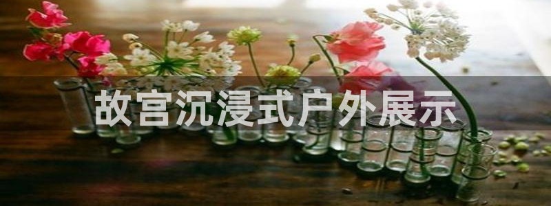 杏宇平台登录方法：故宫沉浸式户外展示