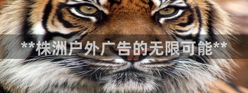 杏宇平台好吗