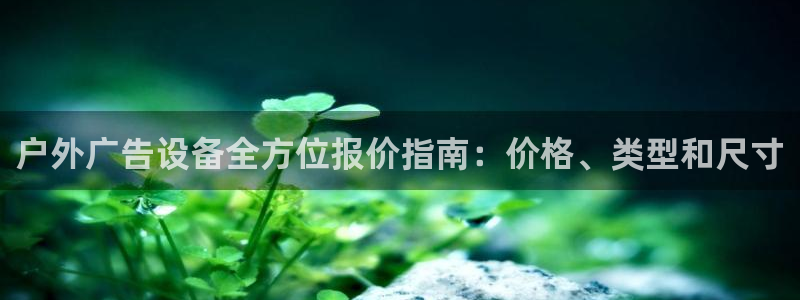 杏宇平台代理多少钱一个月