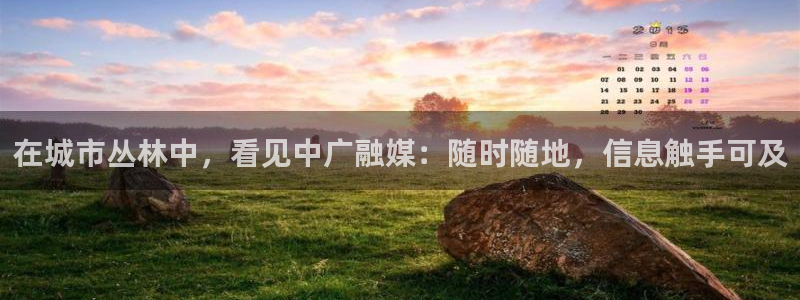 杏宇官方平台官网入口