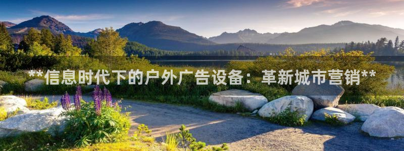 杏宇平台提现为什么这么久呢