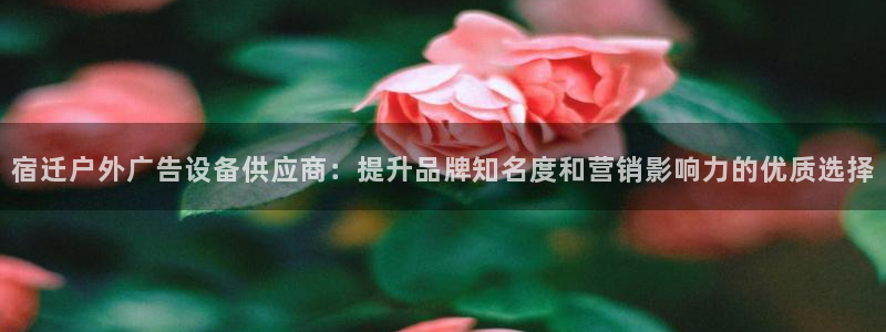 杏宇平台代理怎么赚钱的