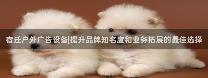 杏宇平台开户