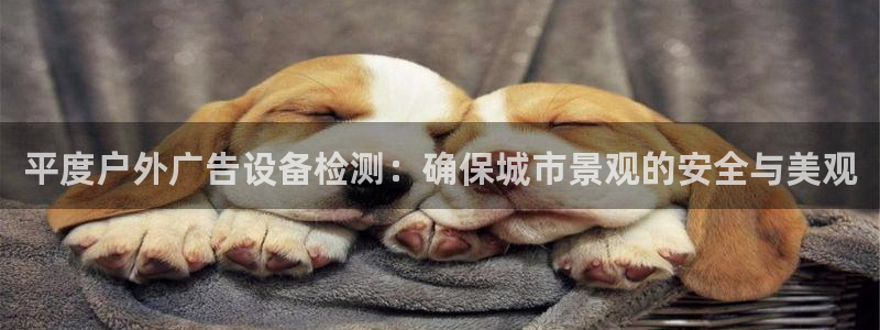杏宇平台代理怎么赚钱快