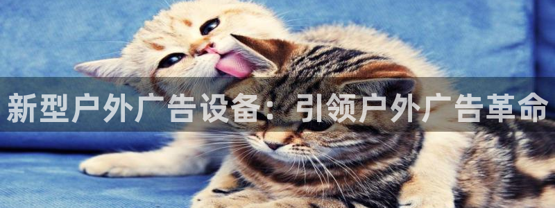 杏宇平台提现为什么这么久呢