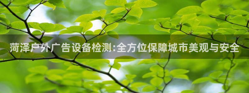 杏宇平台代理