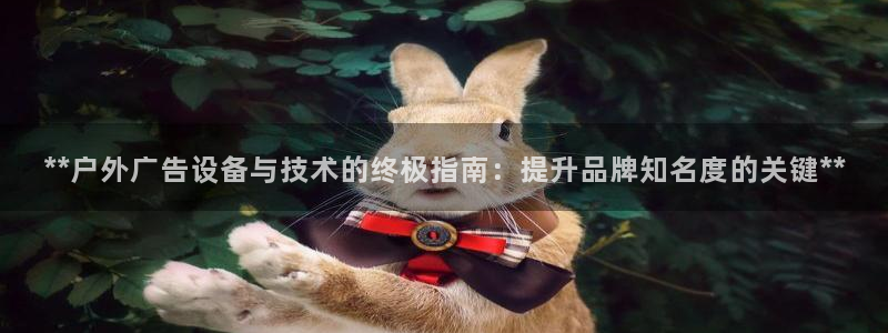 杏宇平台招商怎么样