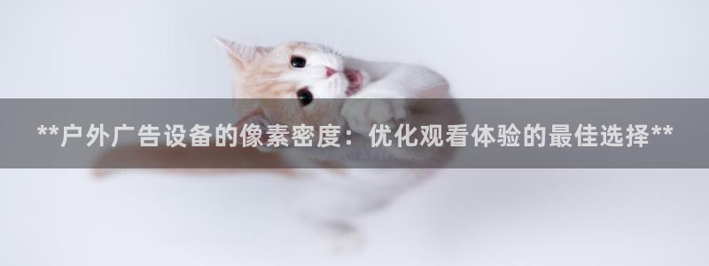 杏宇代理注册
