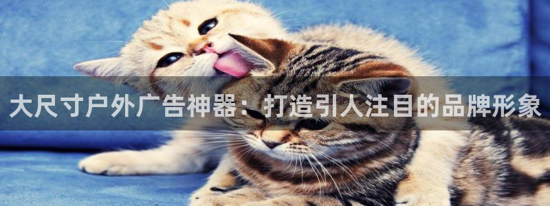 杏宇平台提现为什么这么久呢