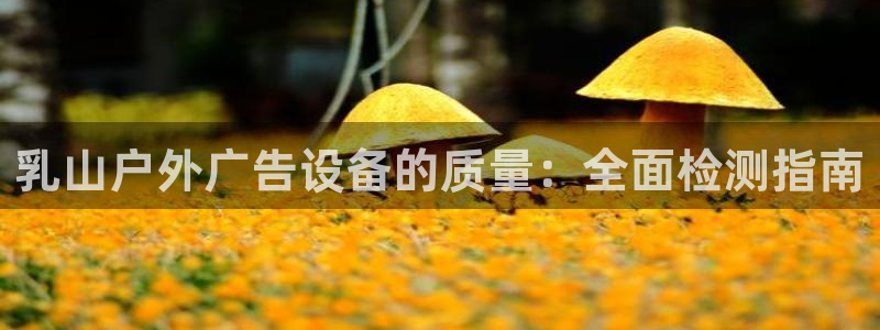 杏宇平台主管：乳山户外广告设备的质量：全面检测指南