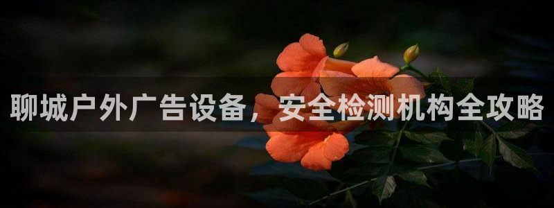 杏宇平台测速链接