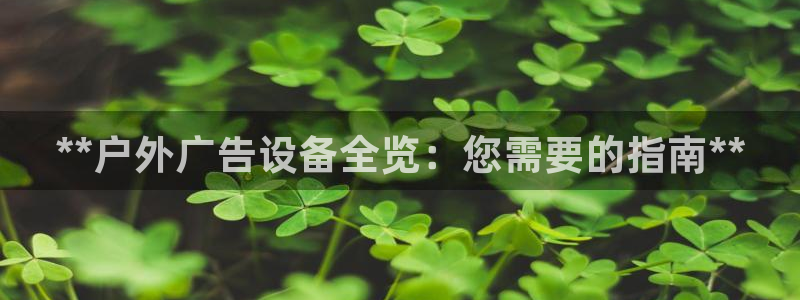 杏宇平台注册登录