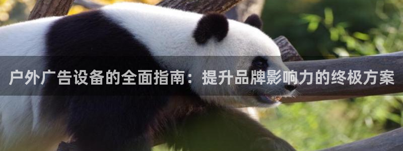 杏宇官方平台官网