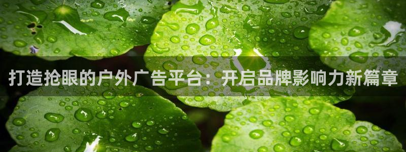 杏宇平台提现为什么这么久呢