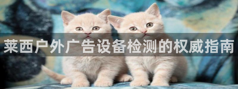 杏宇平台怎么样知乎：莱西户外广告设备检测的权威指南