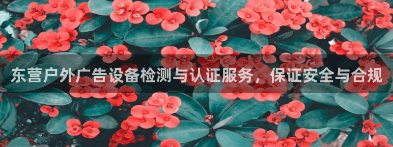 杏宇平台测速链接：东营户外广告设备检测与认证服务，保证安全与合规
