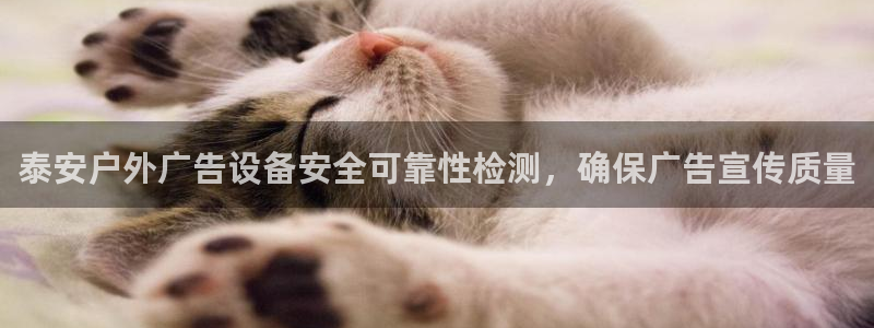 杏宇官方平台官网