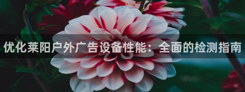 杏宇平台招商：优化莱阳户外广告设备性能：全面的检测指南