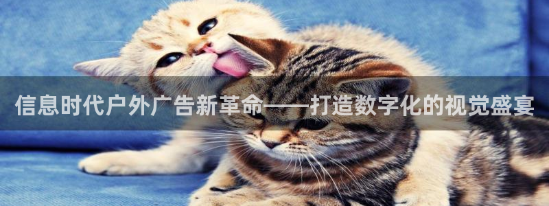 杏宇平台官网注册