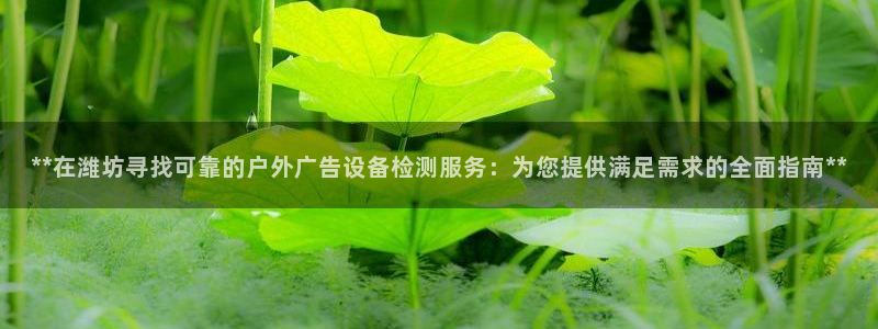 杏宇平台怎么样知乎：**在潍坊寻找可靠的户外广告设备检测服务：为您提供满足需求的全面指南**