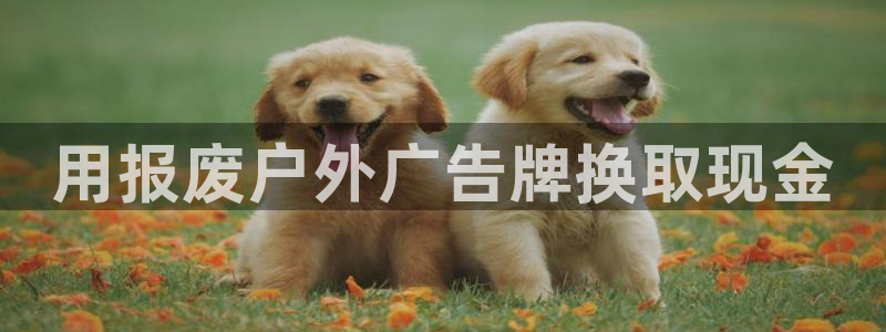 杏宇平台招商：用报废户外广告牌换取现金