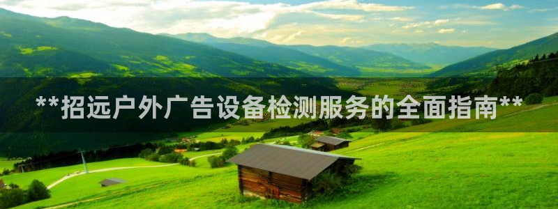 杏宇平台代理怎么赚钱的：**招远户外广告设备检测服务的全面指南**