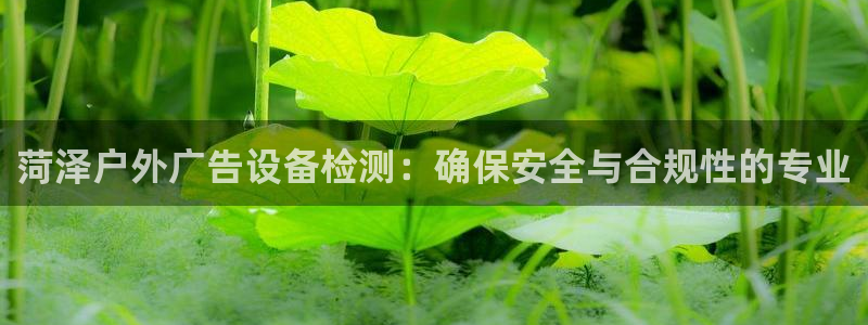 杏宇平台招商：菏泽户外广告设备检测：确保安全与合规性的专业
