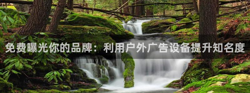 杏宇平台开户