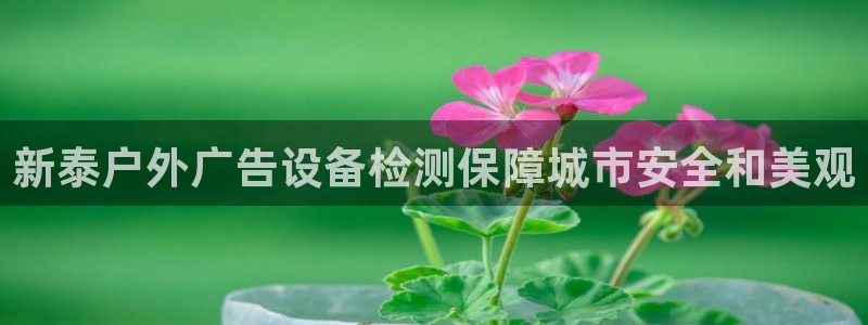 杏宇平台怎么样