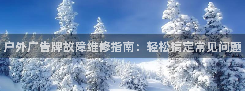 杏宇代理注册
