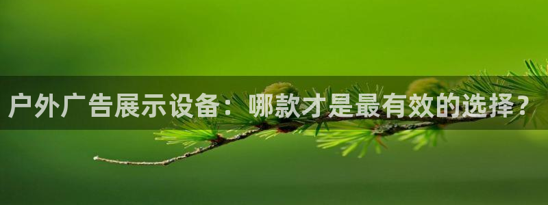 杏宇平台注册地址在哪里