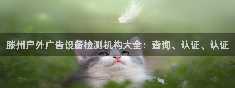 杏宇官方平台官网下载