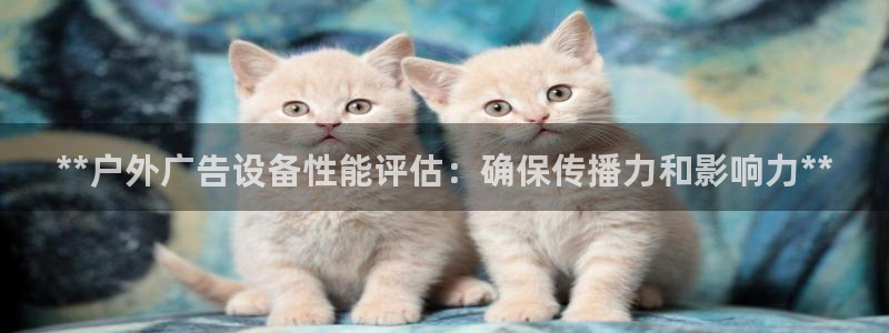 杏宇官方平台官网入口