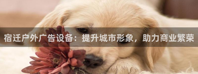 杏宇平台是什么